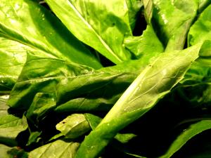 1 Cup Turnips & Greens, Boiled, No Salt