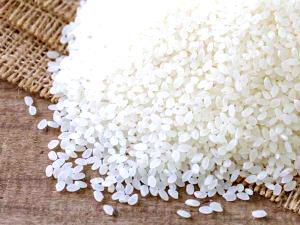 1 Cup White Rice, Short Grain, Raw