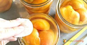 1 Cup Whole Apricot in Heavy Syrup (Cooked or Canned)