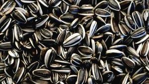 1 Cup, With Hulls, Edible Yield Roasted Unsalted Hulled Sunflower Seeds