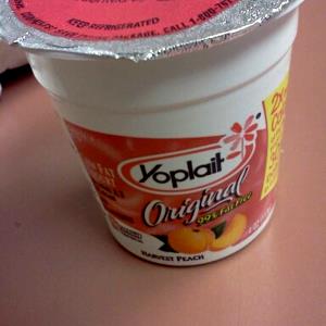 1 Cup Yogurt, Fruit, Lowfat