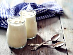 1 Cup Yogurt, Vanilla