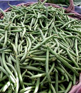 1 Cut Piece Cooked Green String Beans (Fat Not Added in Cooking)