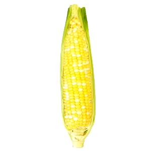 1 ear (3 oz) Corn-on-The-Cob