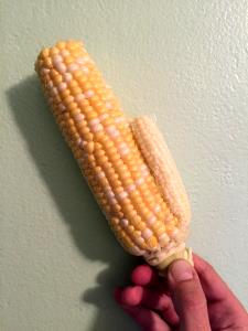 1 Ear Baby Corn
