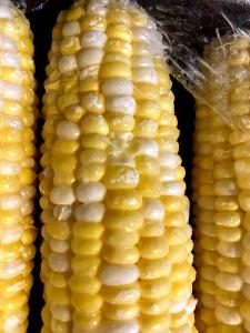 1 Ear Corn, White, Raw