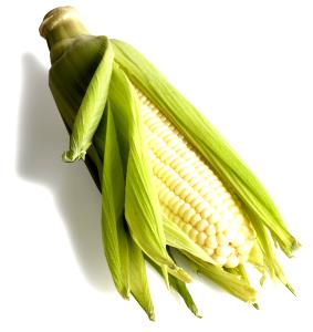 1 Ear White Corn