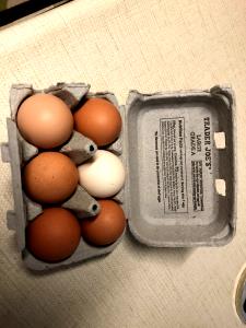 1 egg (50 g) Brown Eggs