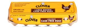 1 egg (50 g) Cage Free Large Brown Eggs
