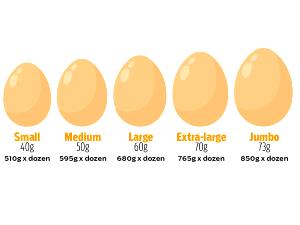 1 egg (50 g) Grade AA Fresh Eggs