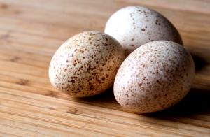 1 Egg (79.0 G) Turkey Egg