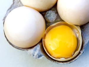 1 Egg Egg, Duck, Raw