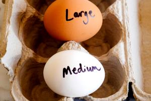 1 egg Jumbo Egg