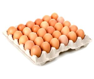 1 egg Large Brown Egg