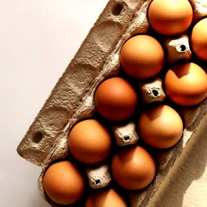 1 egg Large Brown Free Range Eggs