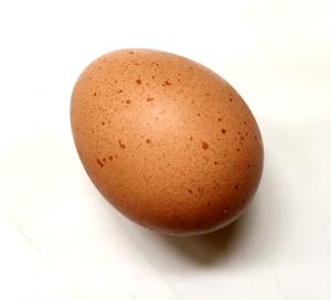 1 Egg One Egg