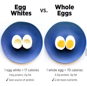 1 egg white Egg White
