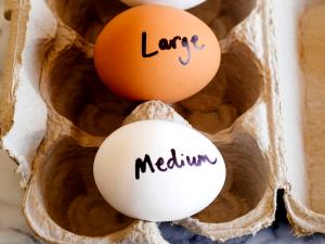 1 Extra Large Cooked Egg