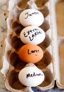 1 Extra Large Egg