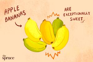 1 Extra Small (less Than 6" Long) Banana