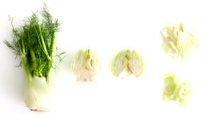 1 Fennel Bulb Cooked Fennel Bulb