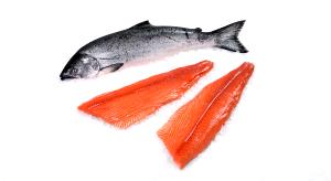1 filet (170 g) Wild King Salmon
