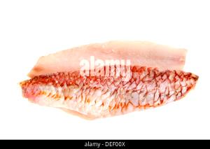 1 Fillet (119.0 G) Mullet, raw
