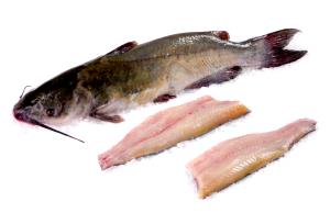 1 Fillet (143.0 G) Catfish, cooked