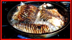 1 Fillet (144.0 G) American Shad, cooked