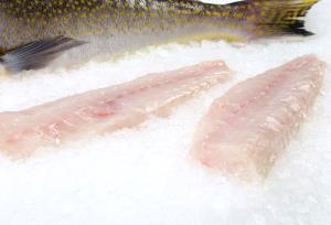 1 Fillet (386.0 G) Tilefish, raw