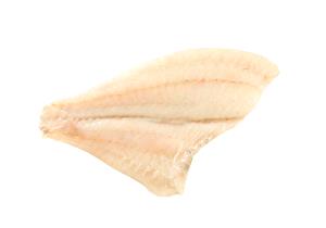 1 Fillet (408.0 G) Turbot, raw