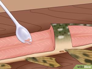 1 Fillet (6-1/4" X 3-1/2" X 3/8") Steamed or Poached Pike