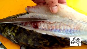 1 Fillet (90.0 G) Burbot, cooked