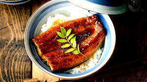 1 Fillet Eel, Cooked