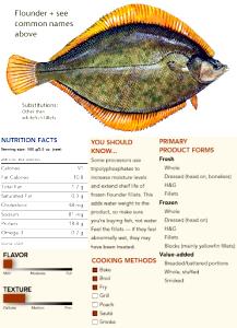 1 Fillet Flatfish (Flounder and Sole Species)