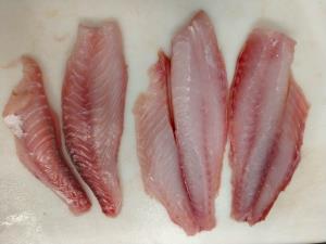 1 Fillet Snapper, Raw