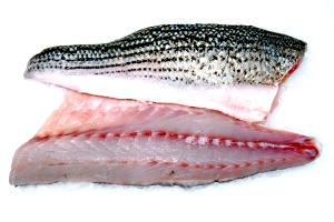 1 Fillet Striped Bass