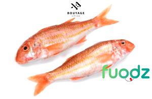 1 Fillet Striped Mullet (Fish)