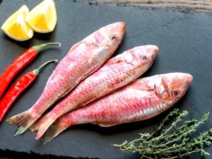 1 Fillet Striped Mullet, Raw