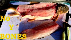 1 Fillet Sucker, White, Cooked