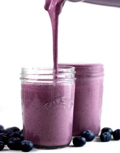 1 Fl Oz Blueberry Smoothie