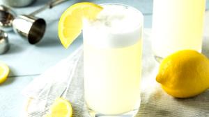 1 Fl Oz (no Ice) Gin Fizz