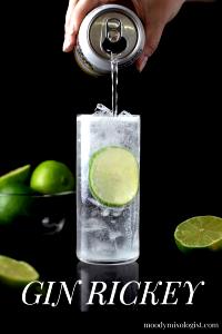 1 Fl Oz (no Ice) Gin Rickey