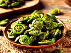 1 Frond Tree Fern, Cooked, No Salt