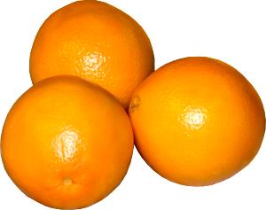 1 Fruit (2-5/8" Dia) Florida Oranges