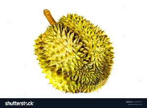 1 Fruit Durian
