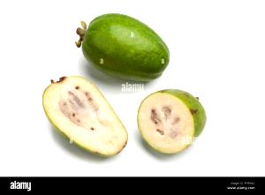 1 Fruit Feijoa, Raw