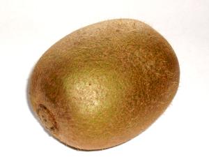 1 Fruit Kiwi Fruit