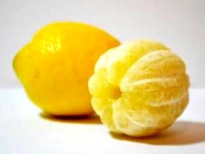 1 Fruit Lemon, Raw, No Peel