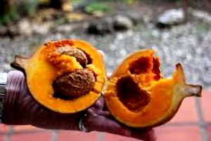 1 Fruit Mammy Apple, Raw (Mamey)